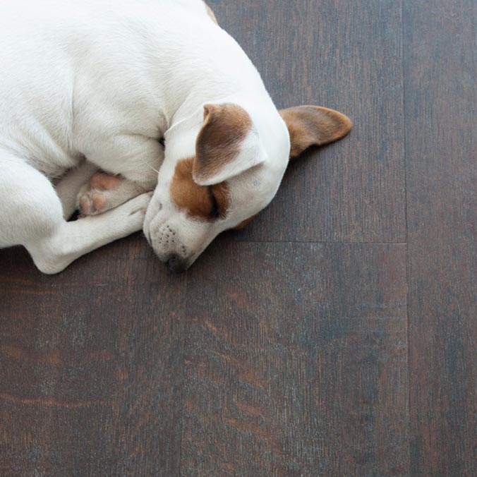 dog sleeping on floor with electric underfloor heating